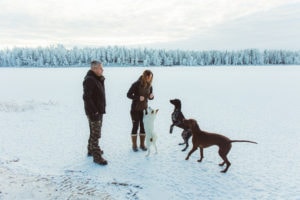 Lotta, Tom ja koirat järven jäällä