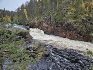 Kiutakönkään koski kuohuu