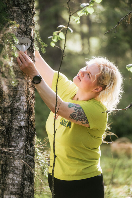 Aino Myllymäki ripustaa metallista laattaa suojeltavaksi ostetun koivun runkoon. 