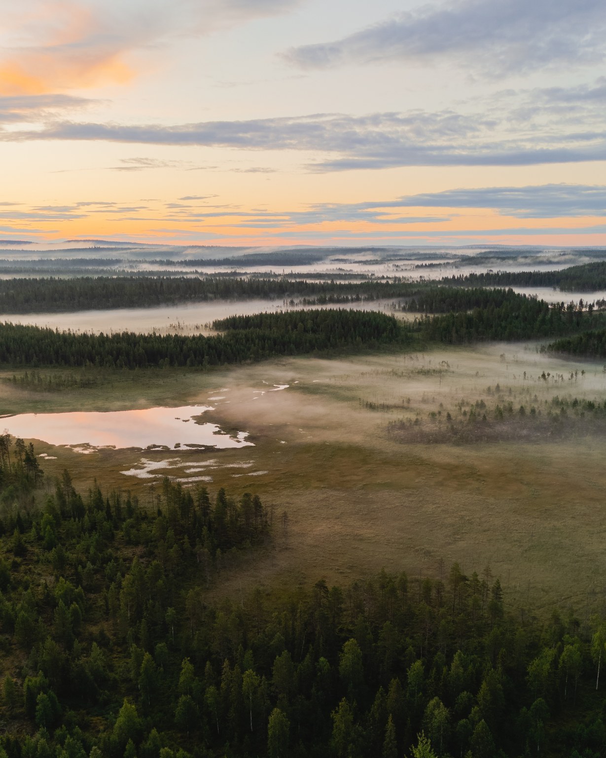 Work in Finland