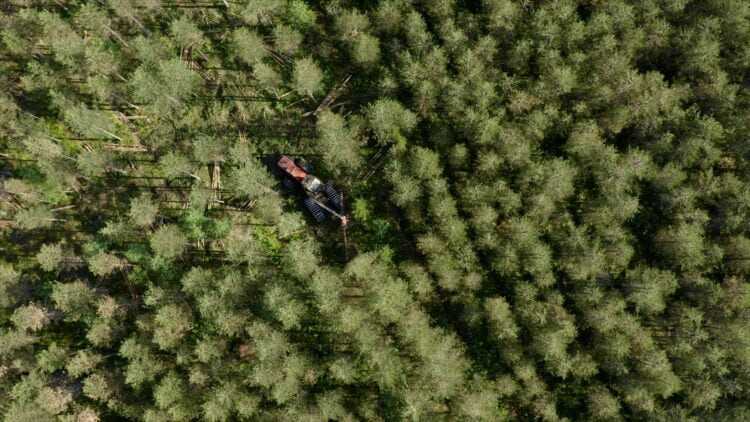 Metsäala kutsuu - katso RebelWerksin video!