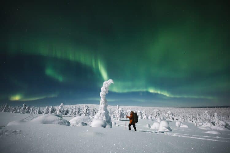 Feature image Revontulet Riisitunturilla ja hiihtäjä tykkypuun vieressä