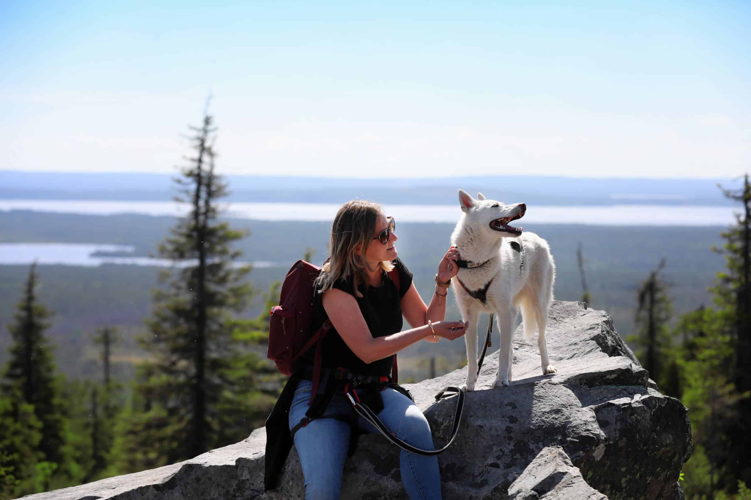 English-speaking jobs in Finland