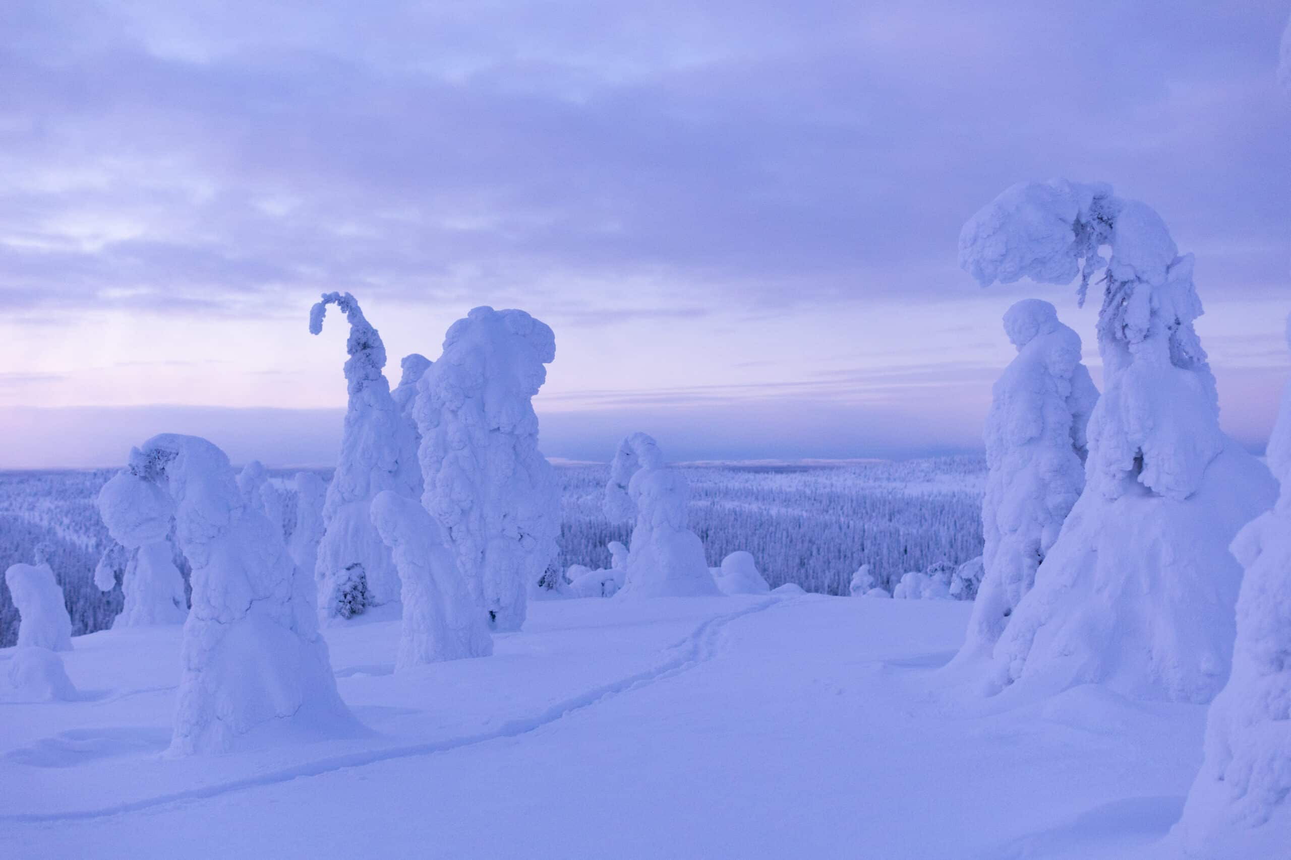 Talvinen maisema Riisitunturilla