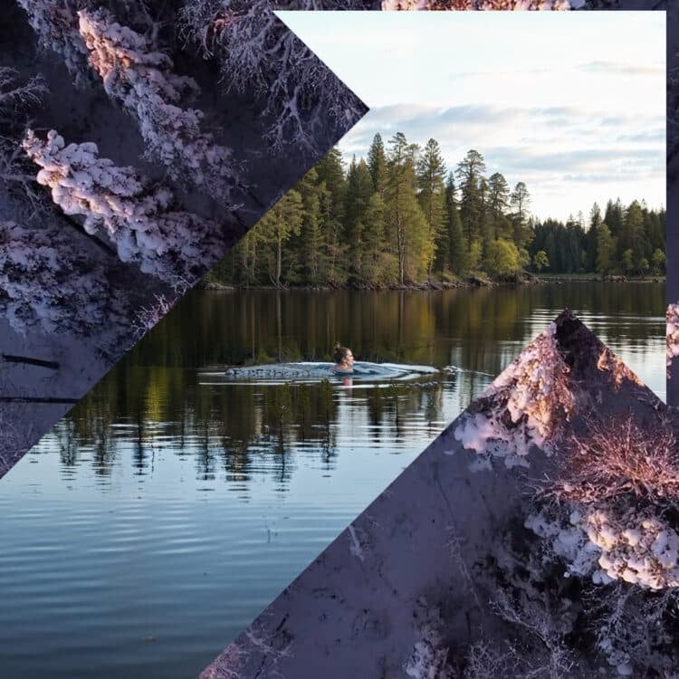 Feature image