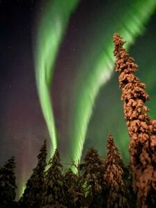 Revontulet Posion Kirintövaarassa